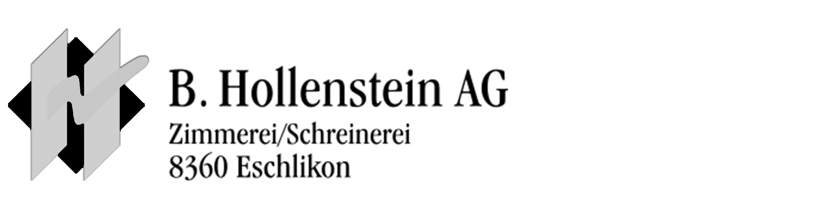 Logo Hollenstein 2